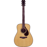 acoustic guitar